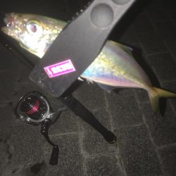 ちょいアジング