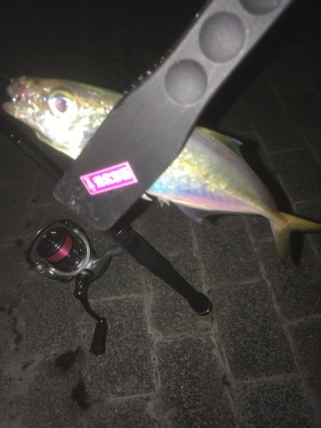 ちょいアジング