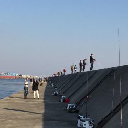 明るい内だけでした