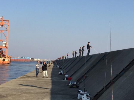 明るい内だけでした