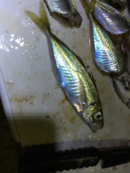 美味しく頂きました^_^