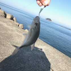 エサ釣りとライトゲーム