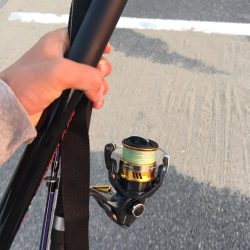 タチウオ狙いの1時間勝負！