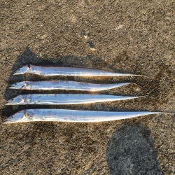 武庫川一文字 久しぶり～