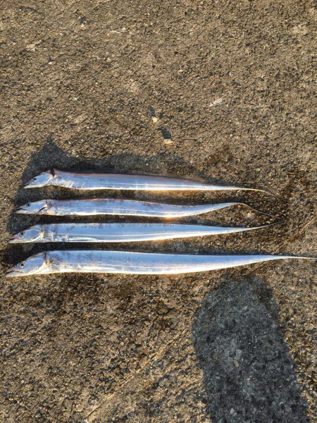 武庫川一文字 久しぶり～