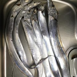 寒いけど暖かい楽しいタチウオ釣り