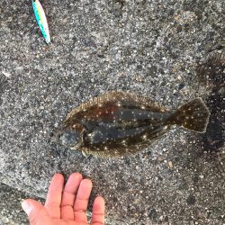 夕まずめ1本勝負