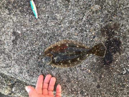 夕まずめ1本勝負