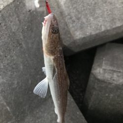 おお、君か・・・久しぶり