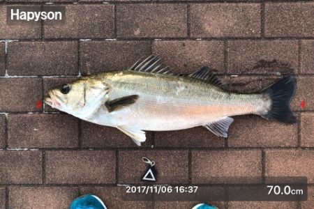 久々の良サイズ！