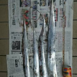 貝塚人工島にてタチウオ、アオリイカ