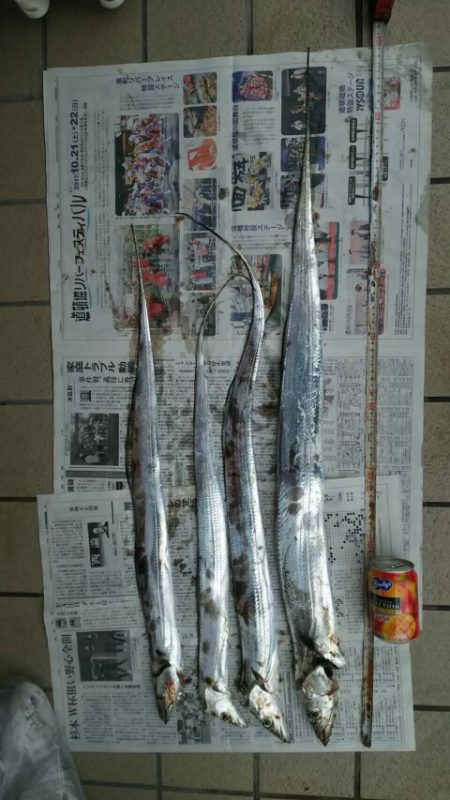 貝塚人工島にてタチウオ、アオリイカ