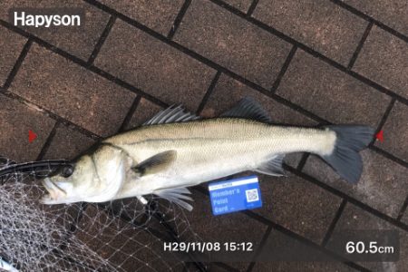 爆釣&初シーバス&初チヌや…