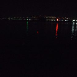 昨日リベンジ太刀魚調査