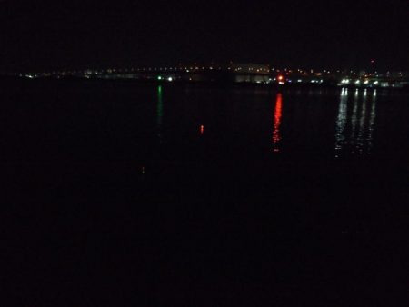 昨日リベンジ太刀魚調査