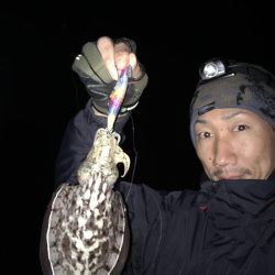 東二見のアオリイカナイト調査