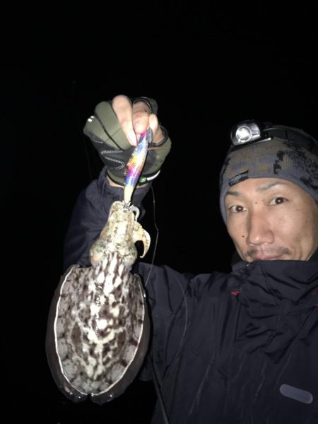 東二見のアオリイカナイト調査