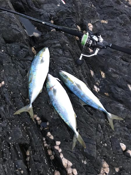 夕まずめラッシュ