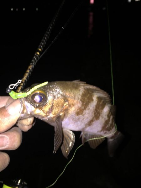 仕事帰りにちょこっとメバリング