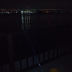 またもやオレだけ太刀魚釣れない…