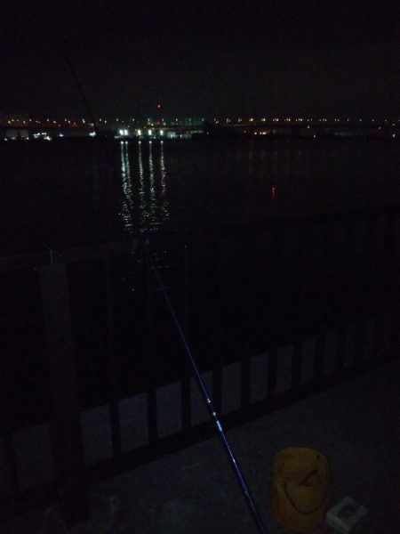 またもやオレだけ太刀魚釣れない…