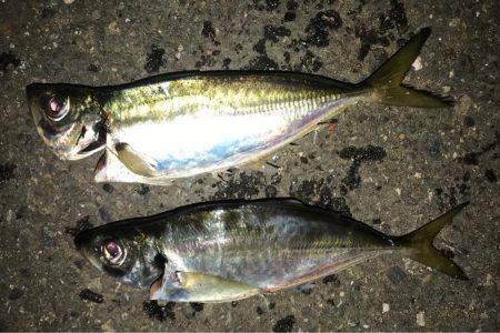 体感風速10m超！？