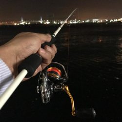 アジング成功！