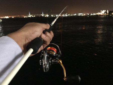 アジング成功！