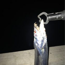 豪雨、爆風…  釣果は？