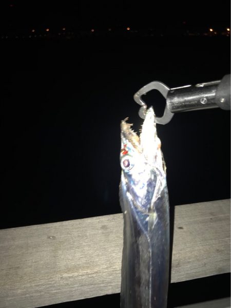 豪雨、爆風…  釣果は？