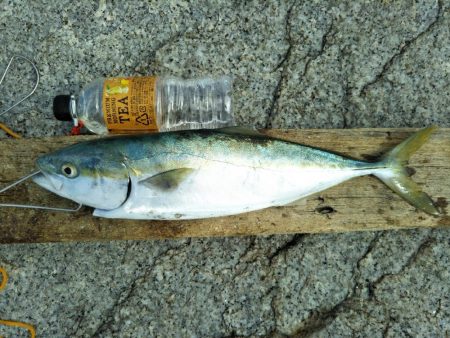 波サイズアップ