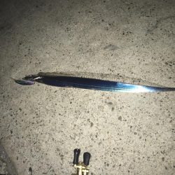 突然のタチウオ