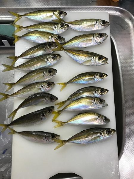 土曜の夜から朝までぶっ通し