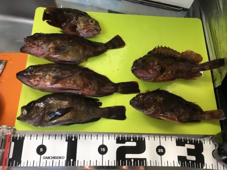 不幸からの釣果