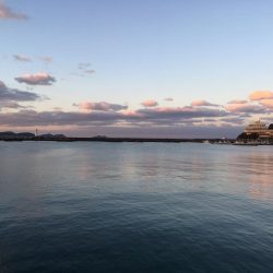 相変わらず渋い