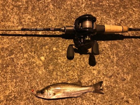 ワークマンイージス