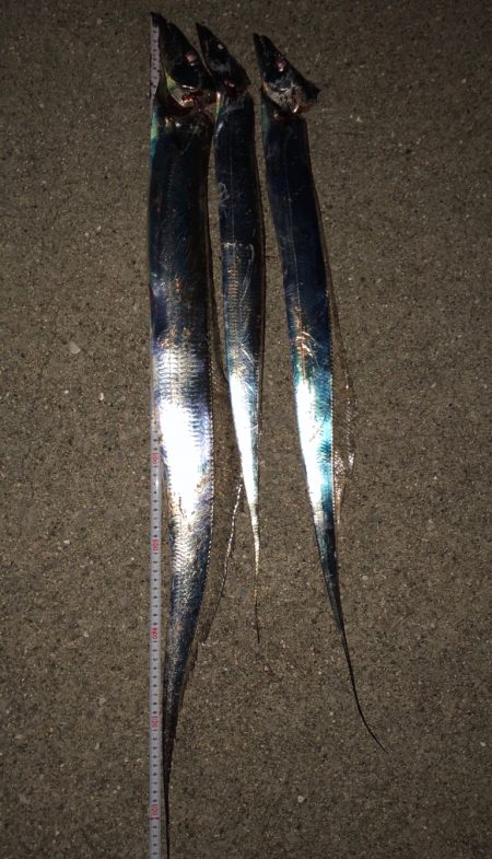 今シーズン初ドラゴン(^｡^)