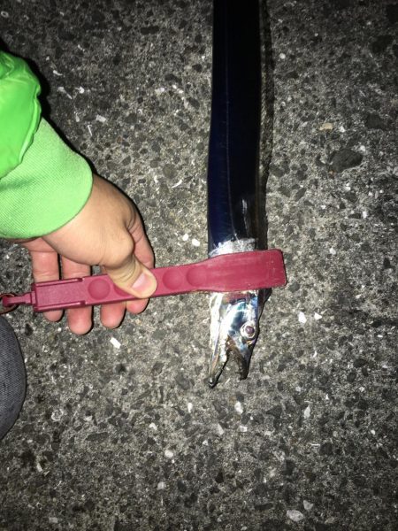 アジングのつもりが…