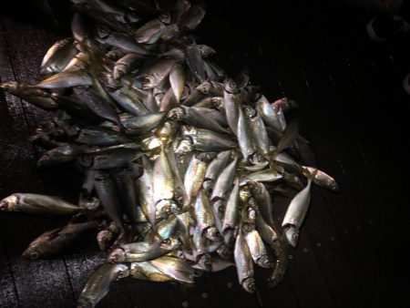 ボートアジング