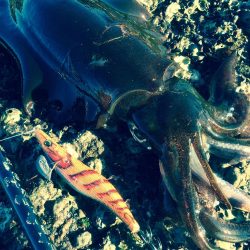 何とか絞り出した一杯