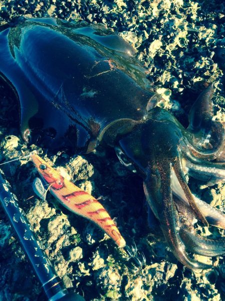 何とか絞り出した一杯