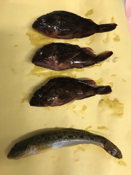 極寒雨の中のライトゲーム