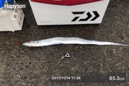 朝まずめ、高活性。