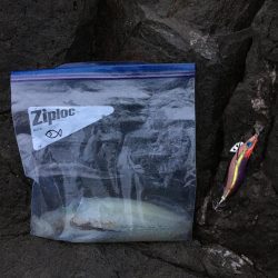 天気予報通りにはいきません(T . T)