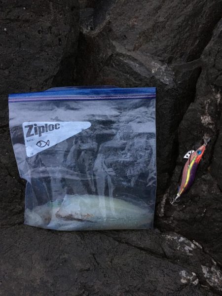 天気予報通りにはいきません(T . T)