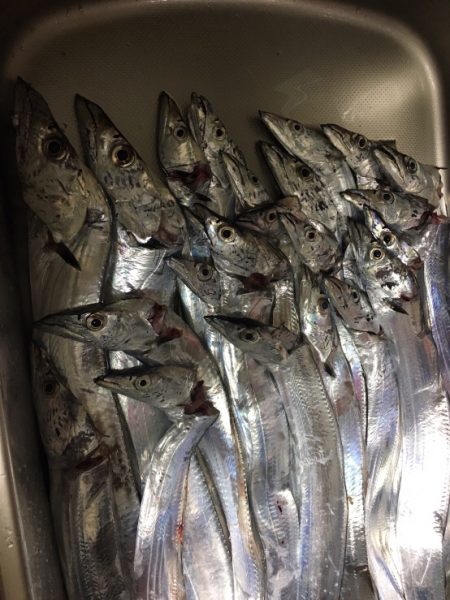 小雨の中の爆釣