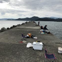 津田沖一文字でヒラメとマアジ釣れました。