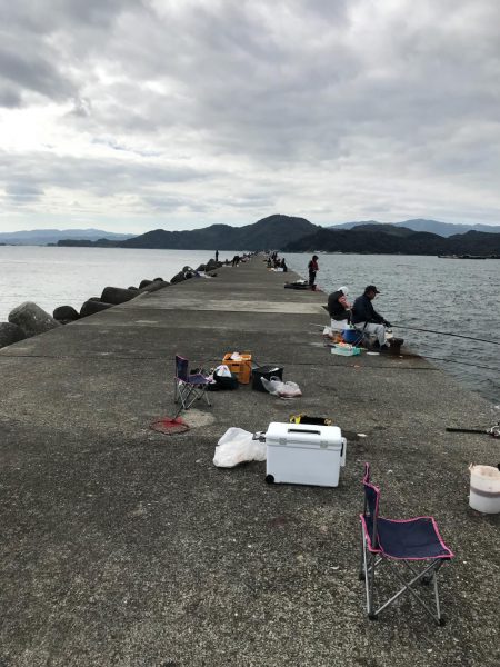 津田沖一文字でヒラメとマアジ釣れました。