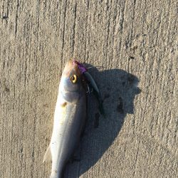 小さくてなかなか乗らない