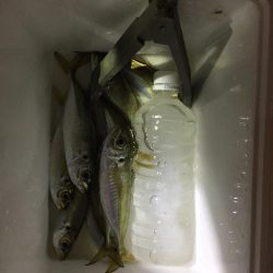 底ベタアジング！